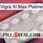 Vigra Xl Max Platinum 16